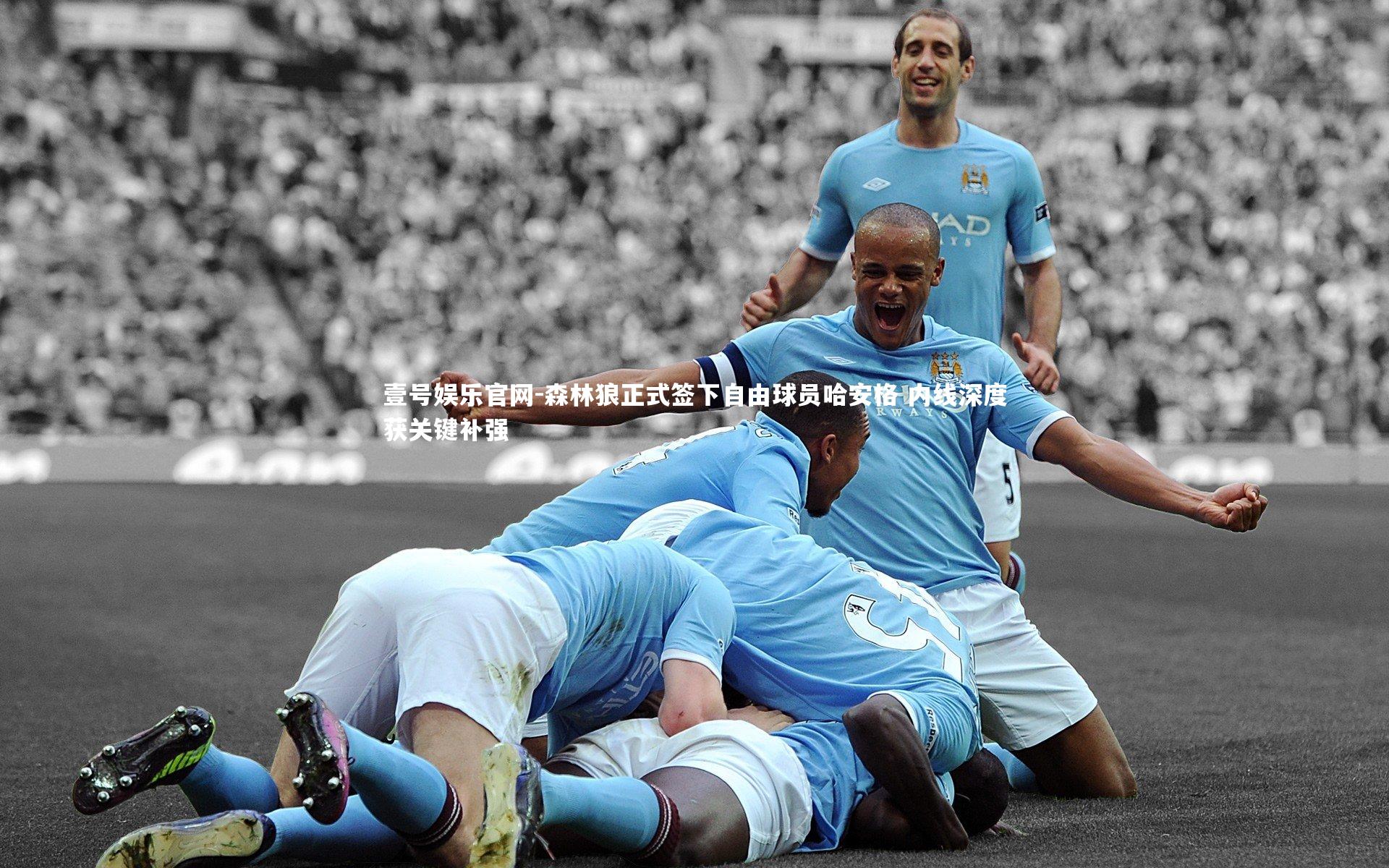 壹号娱乐官网-森林狼正式签下自由球员哈安格 内线深度获关键补强