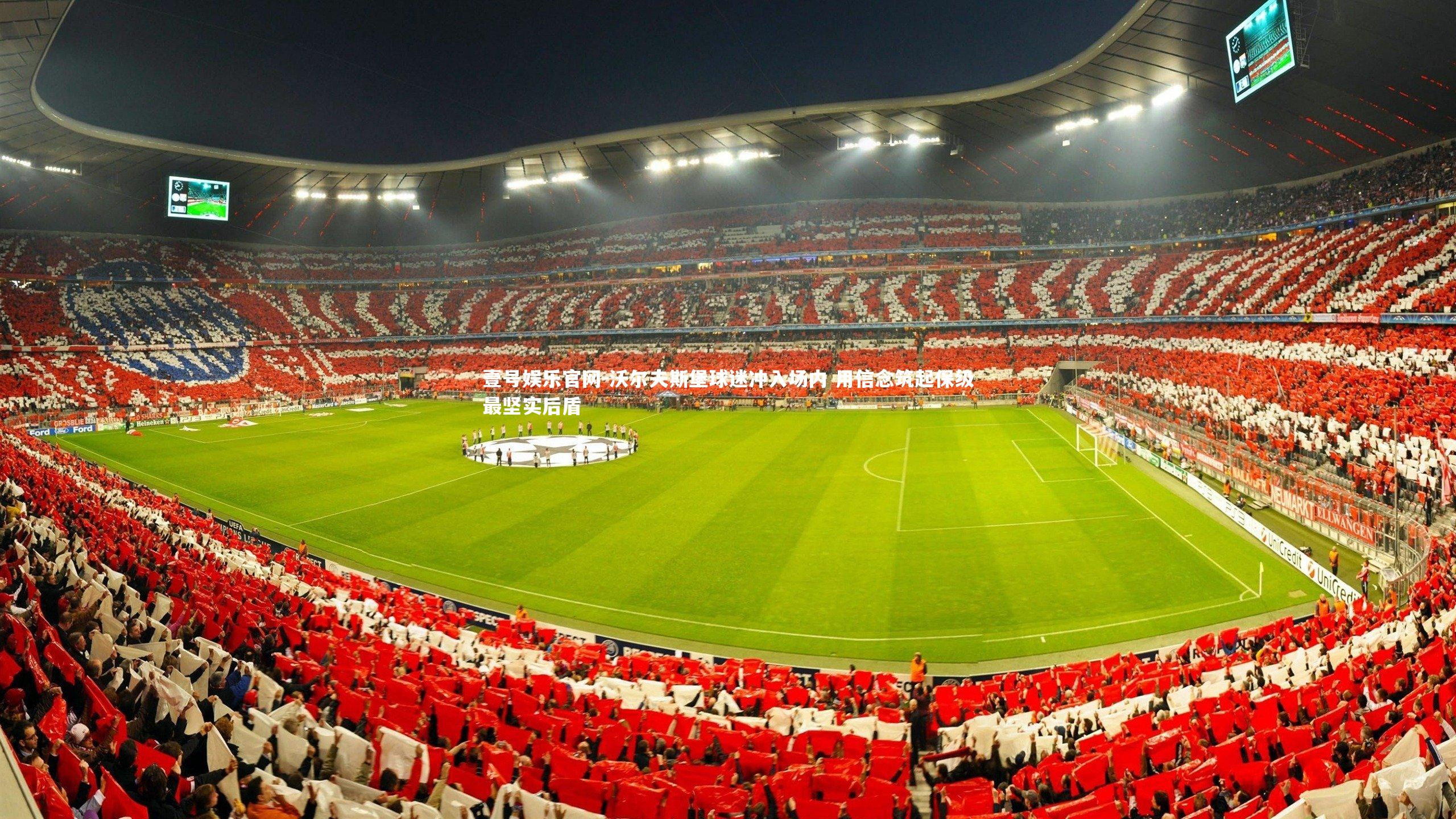 沃尔夫斯堡球迷冲入场内 用信念筑起保级最坚实后盾